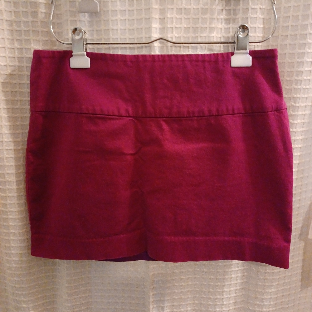 Express Design Studio Skirt